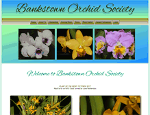 Tablet Screenshot of bankstownorchidsociety.org.au
